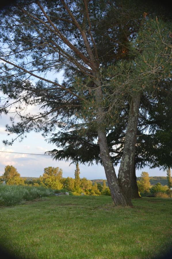 Les Loups Dans La Bergerie Bed & Breakfast Banne Exterior photo